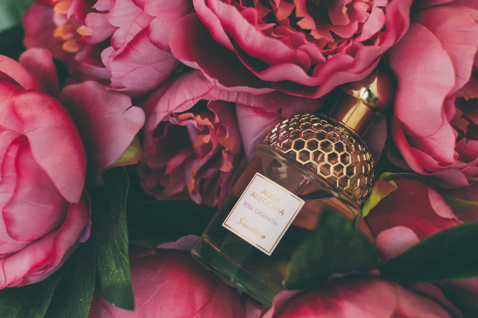 Exploring Fragrance Trends: New Release Perfume Samples You Can’t Miss