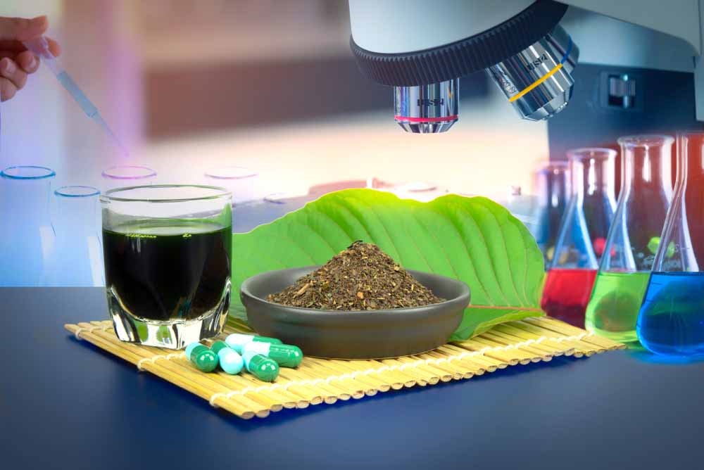 Lab-Tested Kratom Thailand: How to Choose the Right Vendor