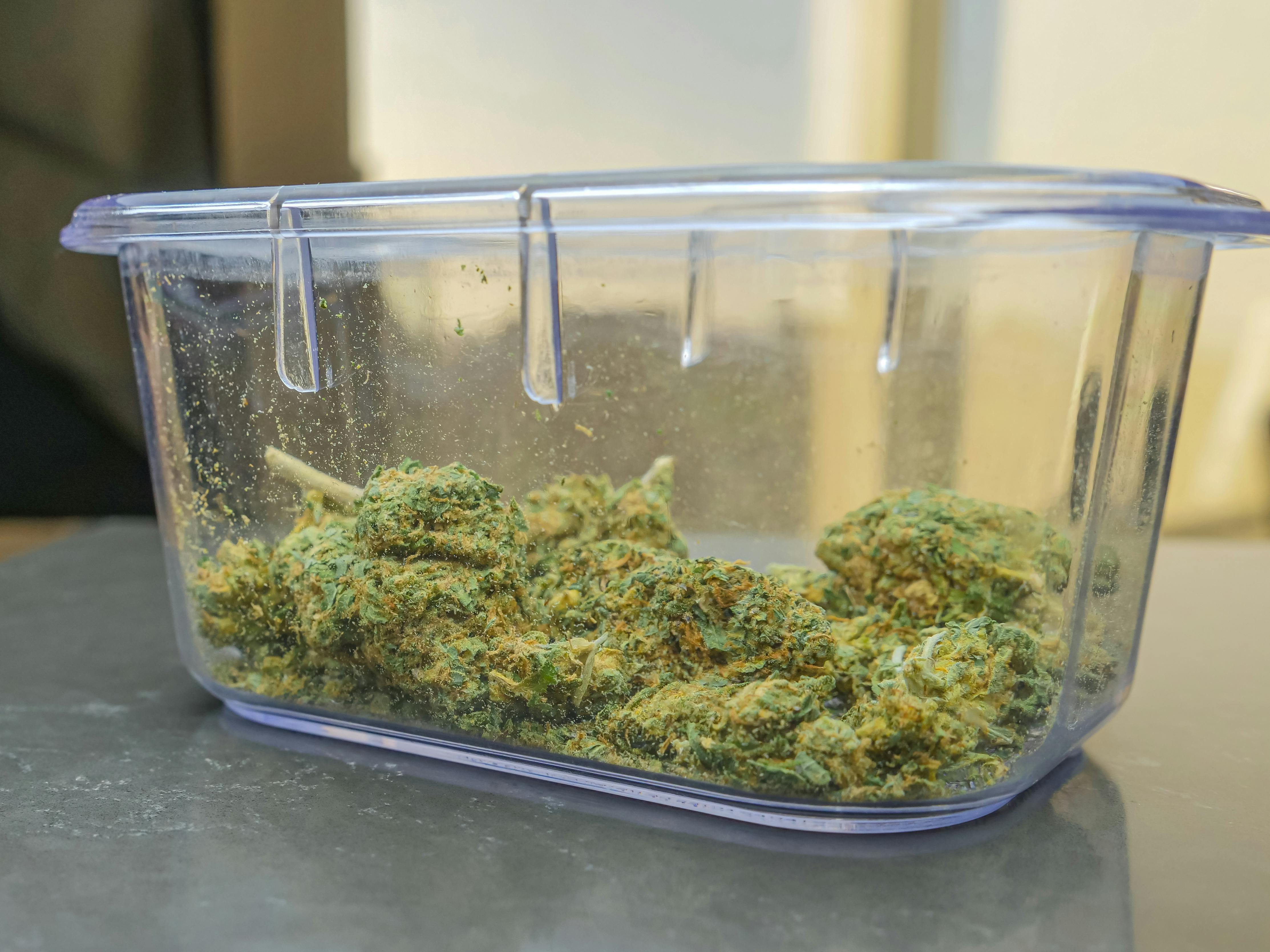 Exploring THCA: Potential Benefits and Limitations