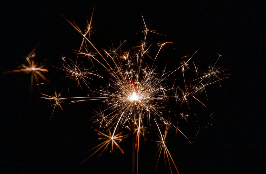 pexels-magda-ehlers-pexels-1585221