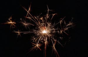 pexels-magda-ehlers-pexels-1585221