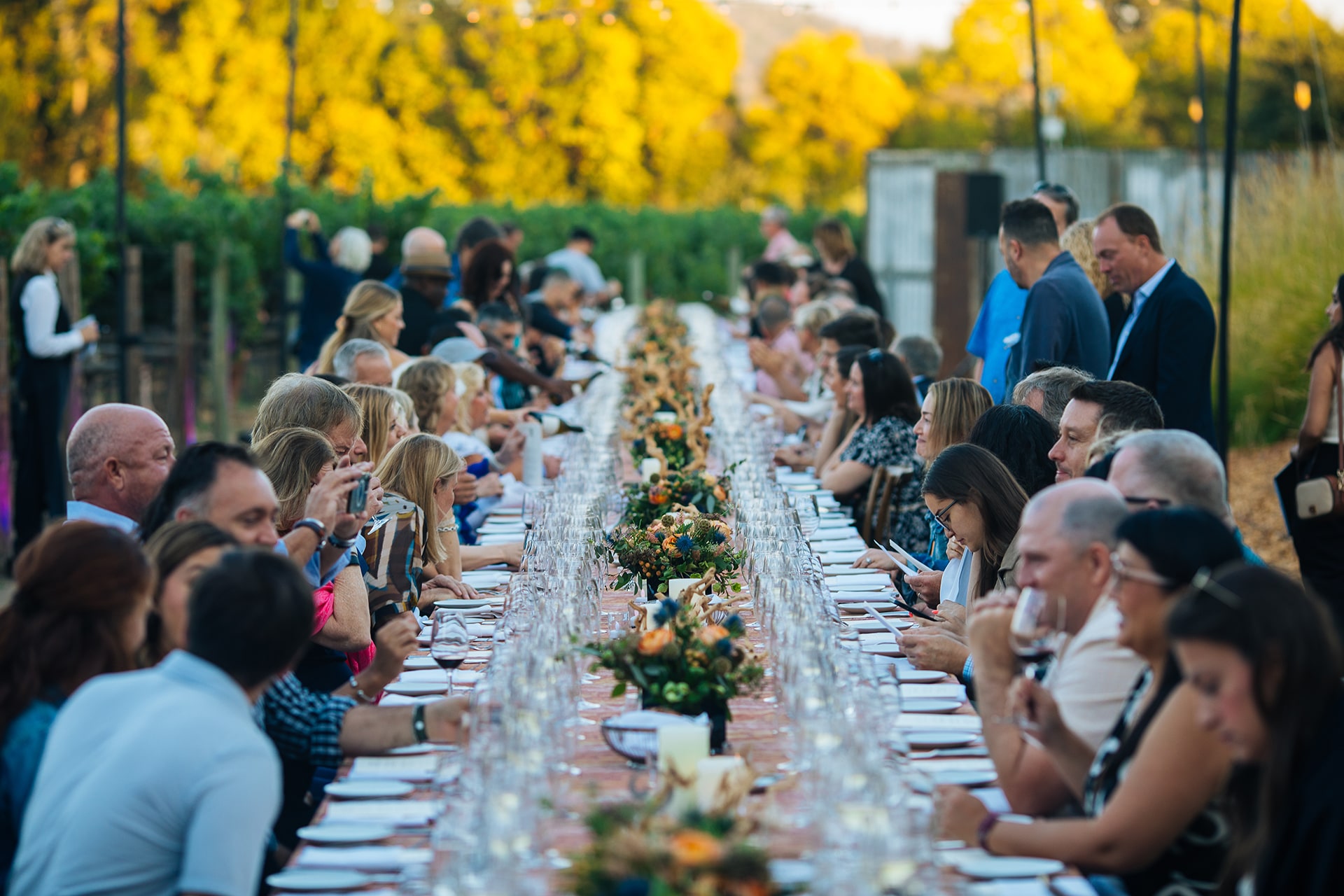 Clarksburg Tours: Explore the Heart of California Wine Country